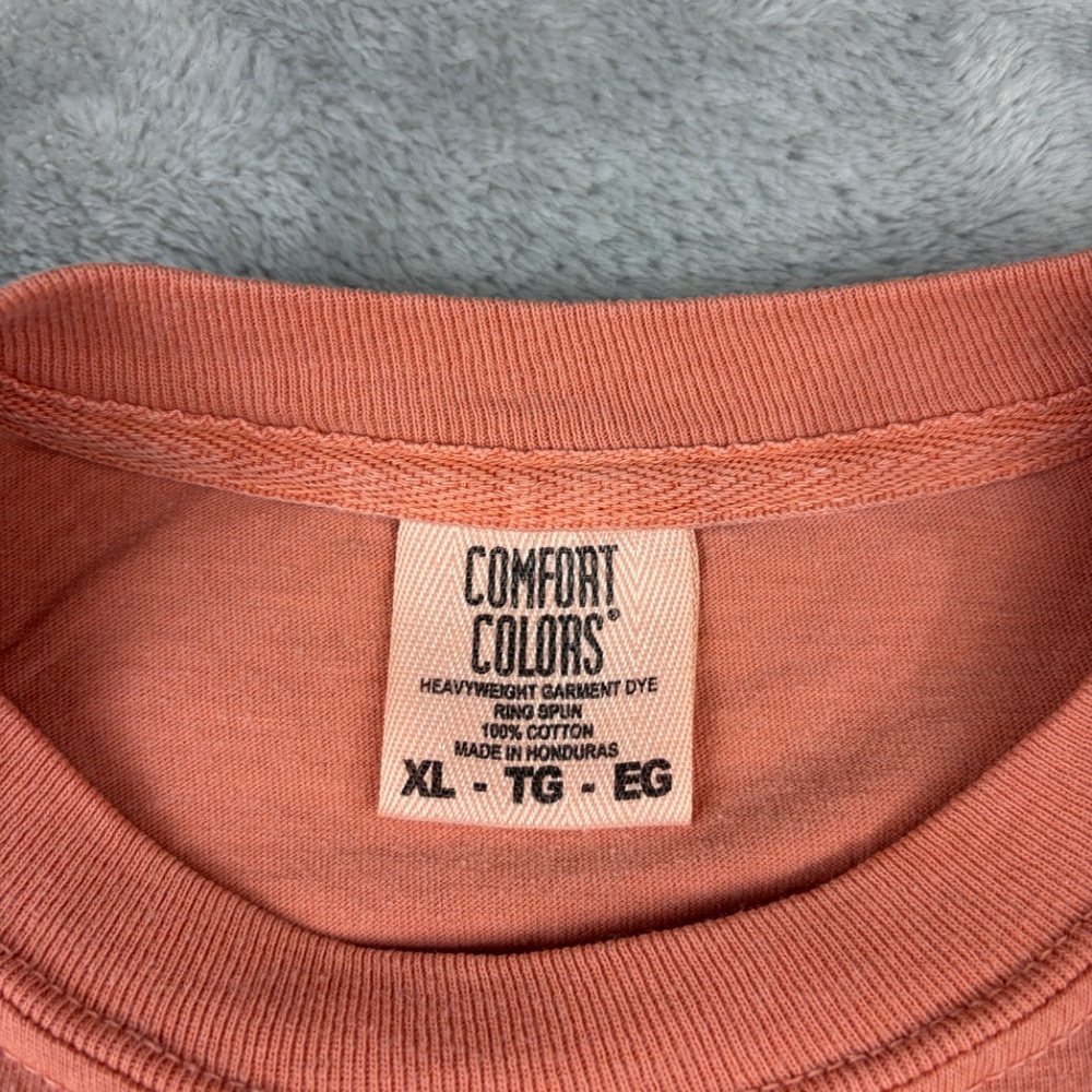 Comfort Colors Disney Orange Bird Short Sleeve Tee Shirt Women's XL - Picture 3 of 6